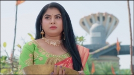 Bahu No. 1 - 6th November 2025